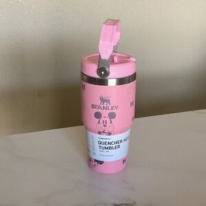 Stanley Pink Disney Tumbler